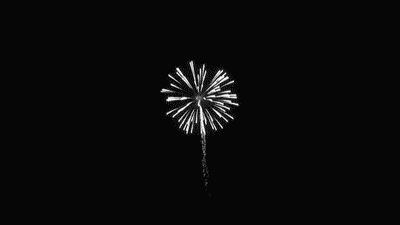 Gif animé feux d'artifices 110